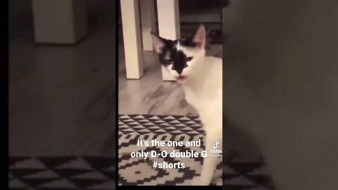 It's the one and only D-O double G #shorts