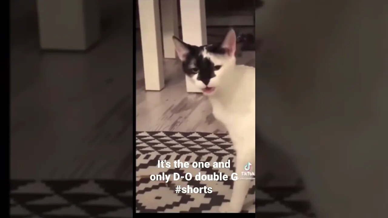 It's the one and only D-O double G #shorts