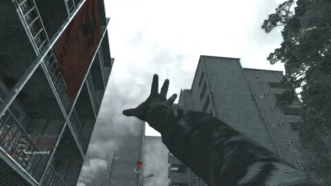 [BC] Call of Duty Frontlines | Sangue 15.08.2021 | Swarm | Call of Duty 4 Modern Warfare