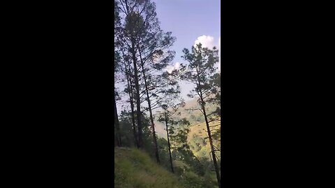 Shimla vlog