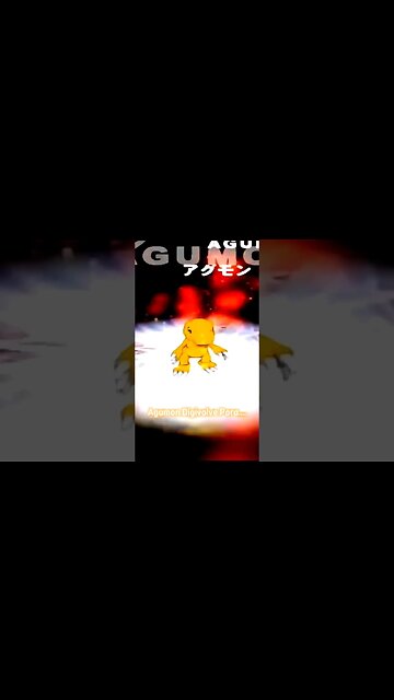 Agumon Digivolve Para...