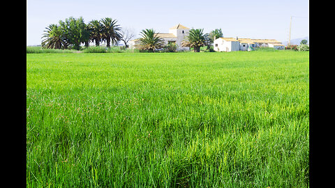 Beeti Yaadain Village life Pakistan