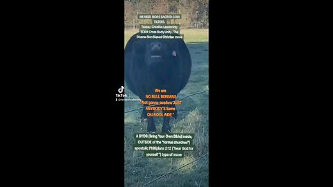 NO BULL BEREAN