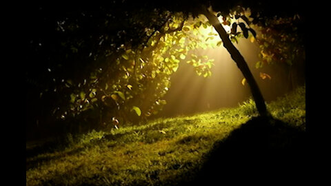 I DREAMT OF YOU, A REAL LIFE ROMANTIC STORY, A VIDEO POEM
