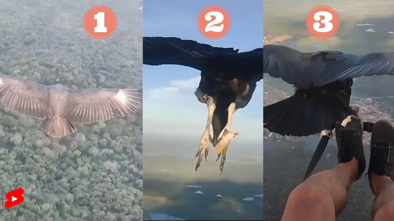 Viral Reel #180 😳This Is Unbelievable|Unbelievable Sky|Skydiving With Eagle 🦅 #shorts