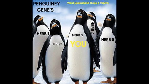 PENGUINEY GENE'S Wont Understand These 6 TRAITS