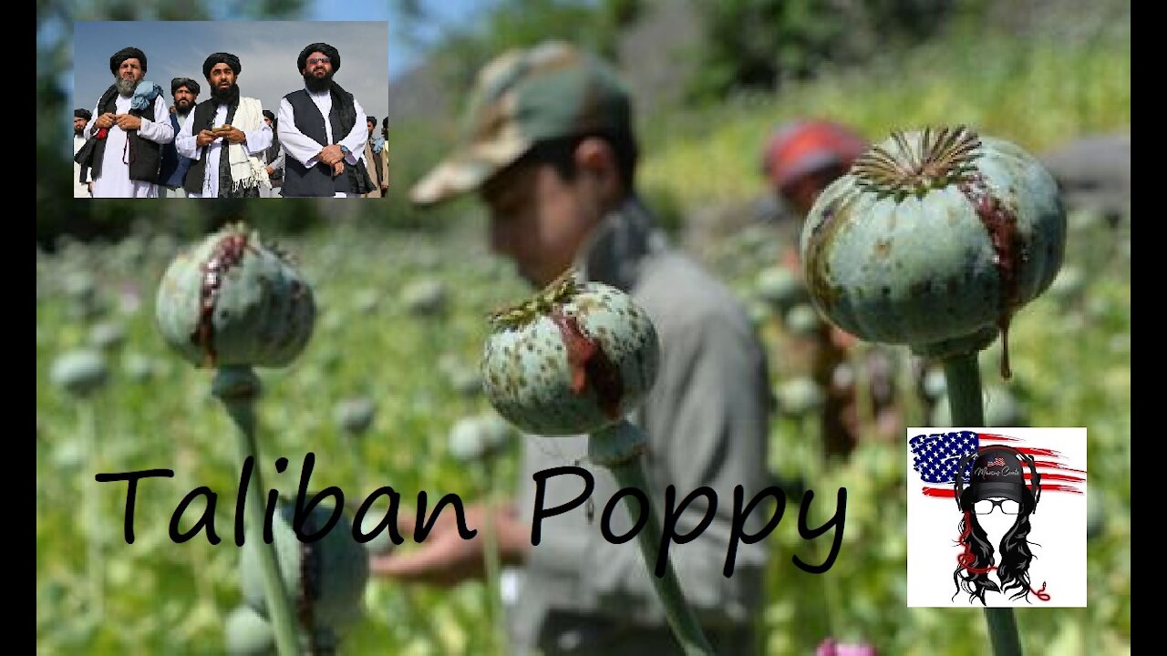 Biden declares victory (speech), US backed Afghanistan opium trade in the balance, C0vld blues