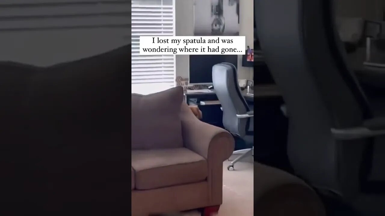 That face 🐶😂💙