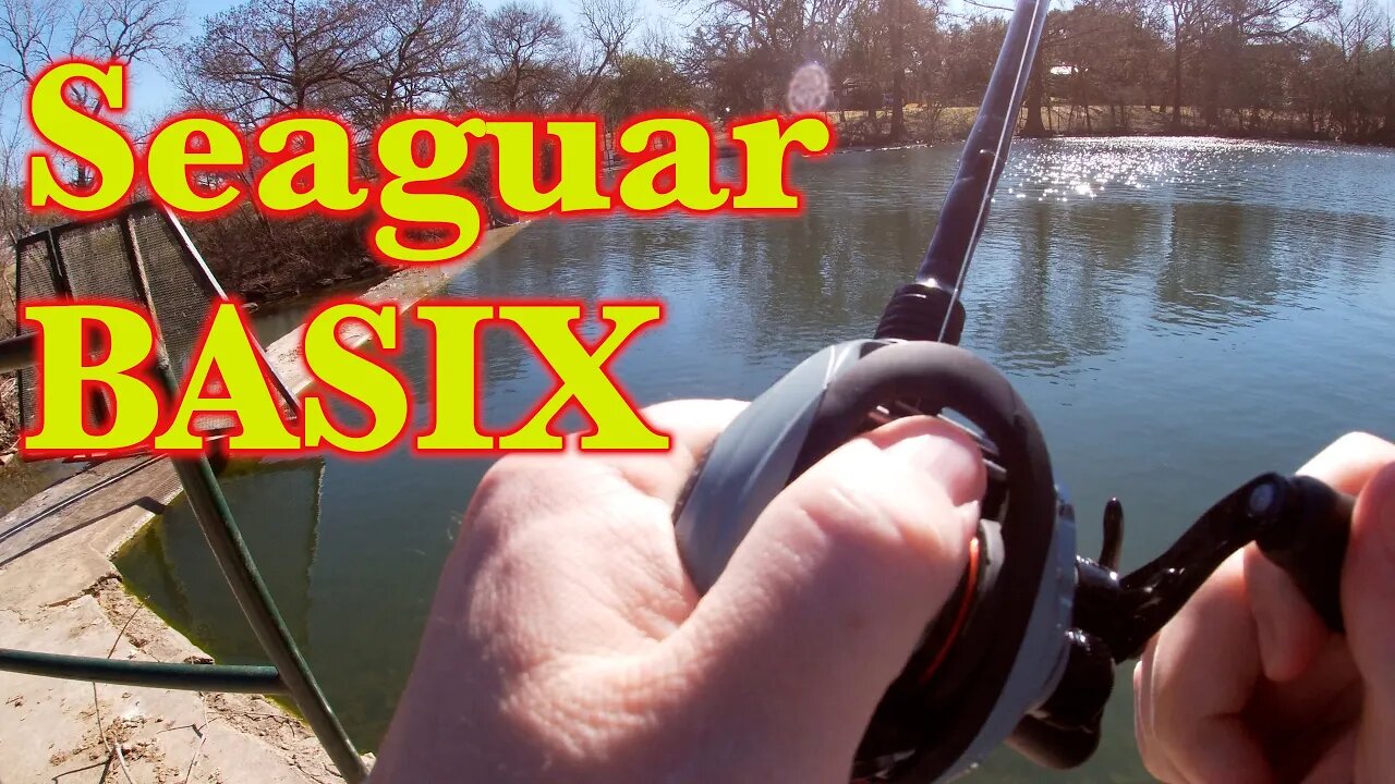 Seaguar BASIX Can $10 Fluoro be any good?