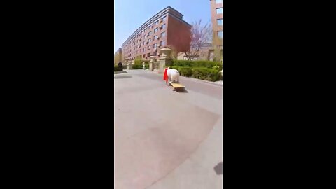 Skatedog 7