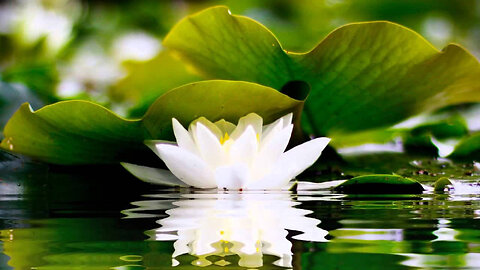 Pure Clean Energy | Vibration | Meditation Music | Relax | Mind and Body