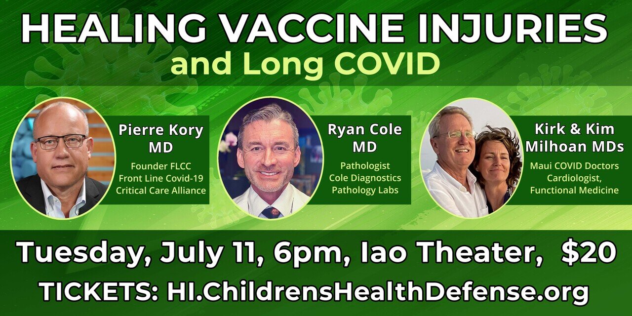 Healing Vaccine Injuries and Long COVID Lessons Learned from the Pandemic.