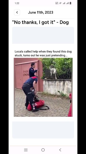 No thanks I got it dog