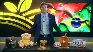 Café em queda, acordo Brasil-China e medida contra gripe aviária: Minuto Agro de Ouro