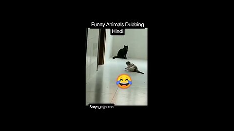 funny animal 😆😆