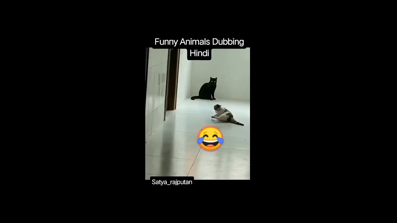 funny animal 😆😆