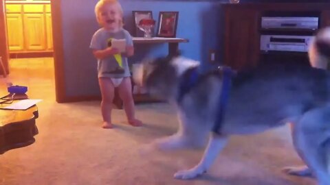 Deep in Conversation - Baby & Husky