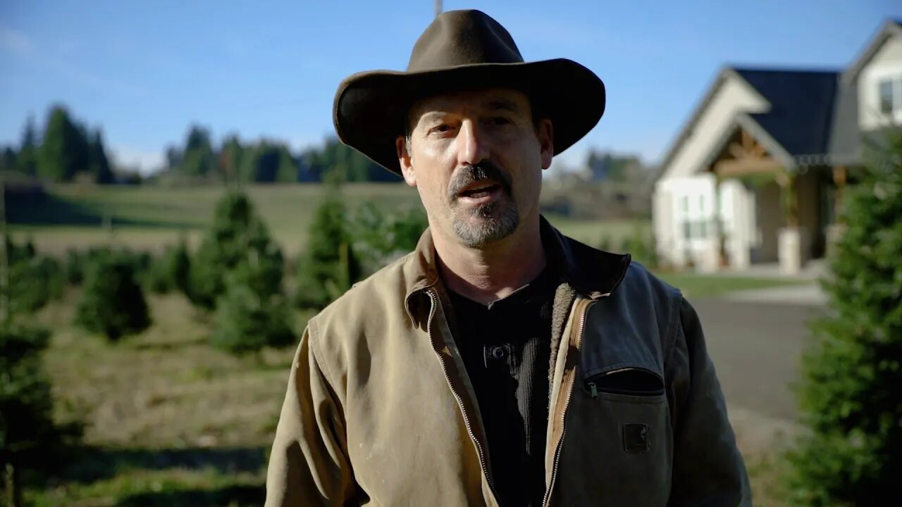 Christmas Trees 2020