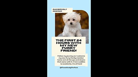 Puppy's First Day Home: A Heartwarming Tale