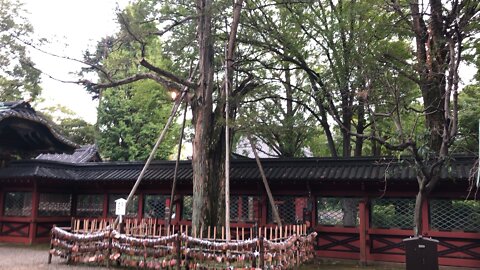 A beautiful temple in Japan