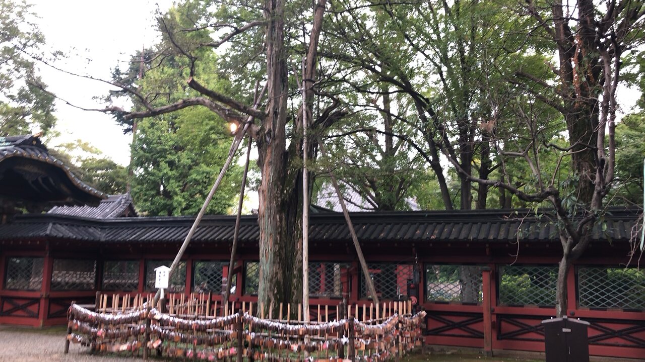 A beautiful temple in Japan