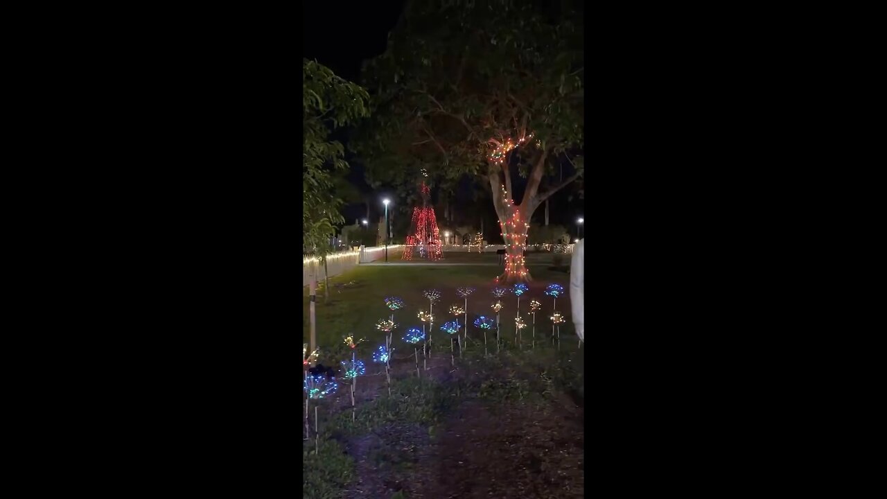 47TH Annual Holiday Nights At The Edison And Ford Winter Estates Livestream Clip 3