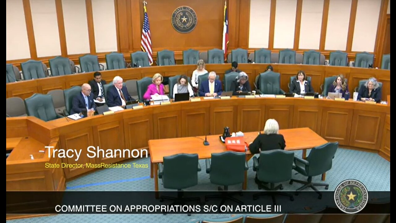 Tracy Shannon in Austin, TX - Testimony to Committee on Appropriations S/C on Article III