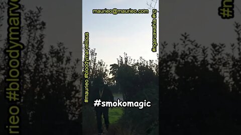 #maurieo #shorts #smokomagic