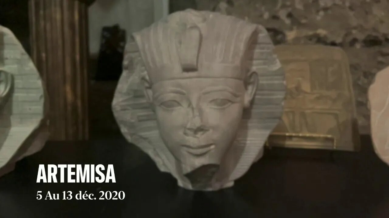 Artemisa Exhibition 2020