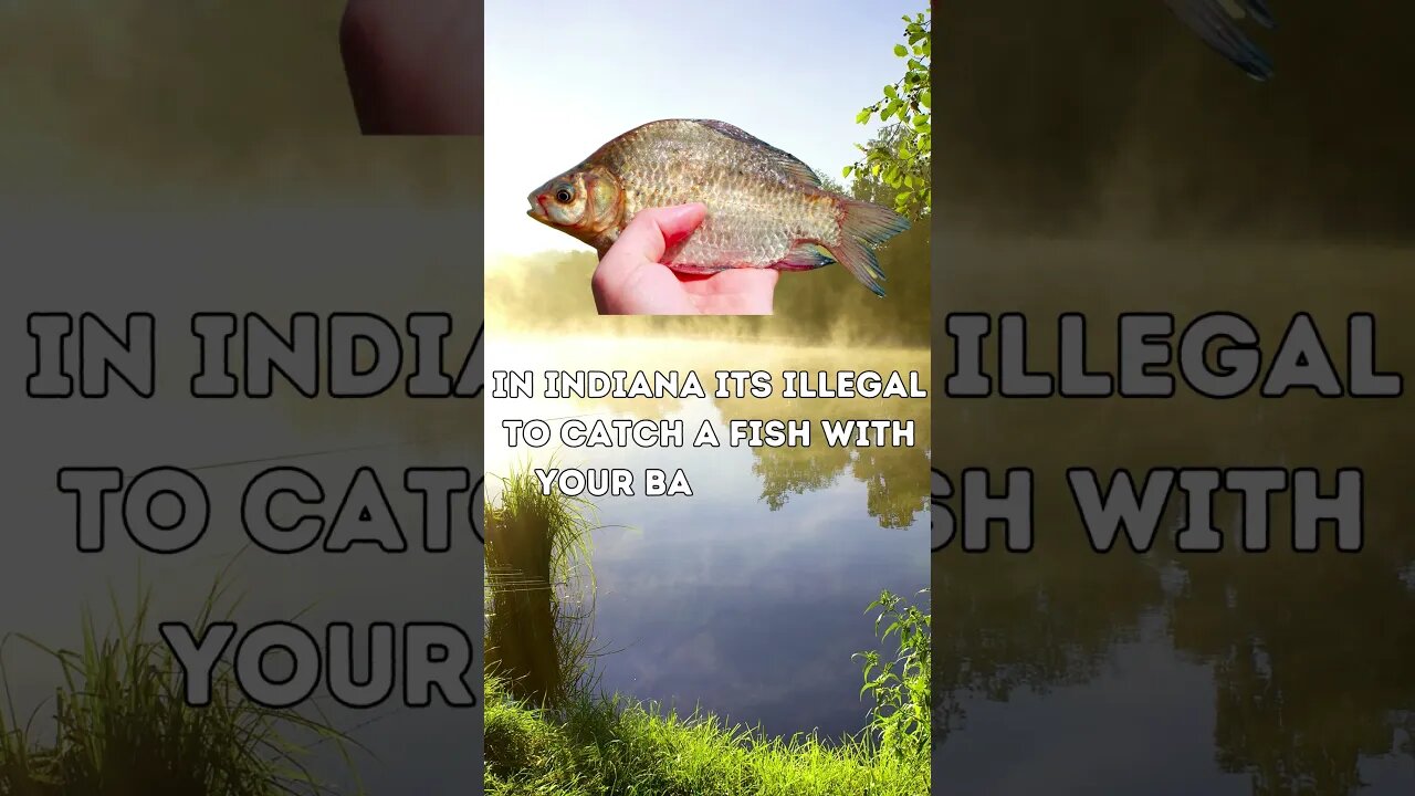 Stop Scrolling! Strange Laws I Bet You Didn't Know! #shorts #Laws #Strangelaws #Trending #New #4K