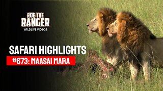 Safari Highlights #673: 09 & 10 March 2022 | Maasai Mara/Zebra Plains | Latest Wildlife Sightings