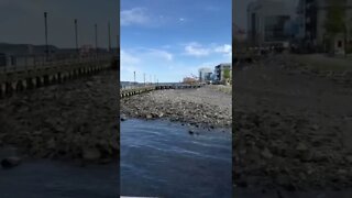 Halifax Wharf Boardwalk