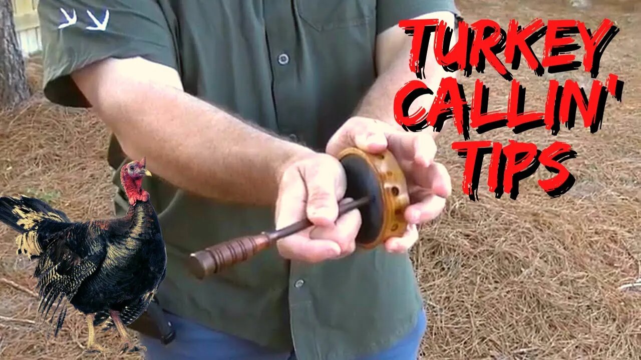 How to call a Turkey (Tips from the 2021 NWTF Georgia State Champ) *Spurs Up Calls