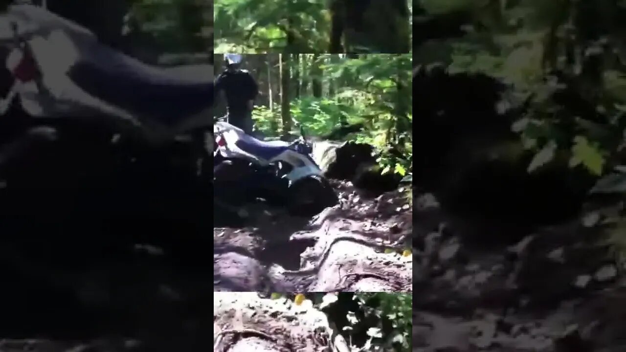 ATV FAIL #shorts #youtubeshorts #atv