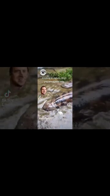 Chilling In nature, then you encounter this..