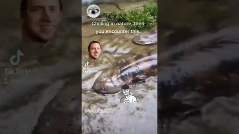 Chilling In nature, then you encounter this..