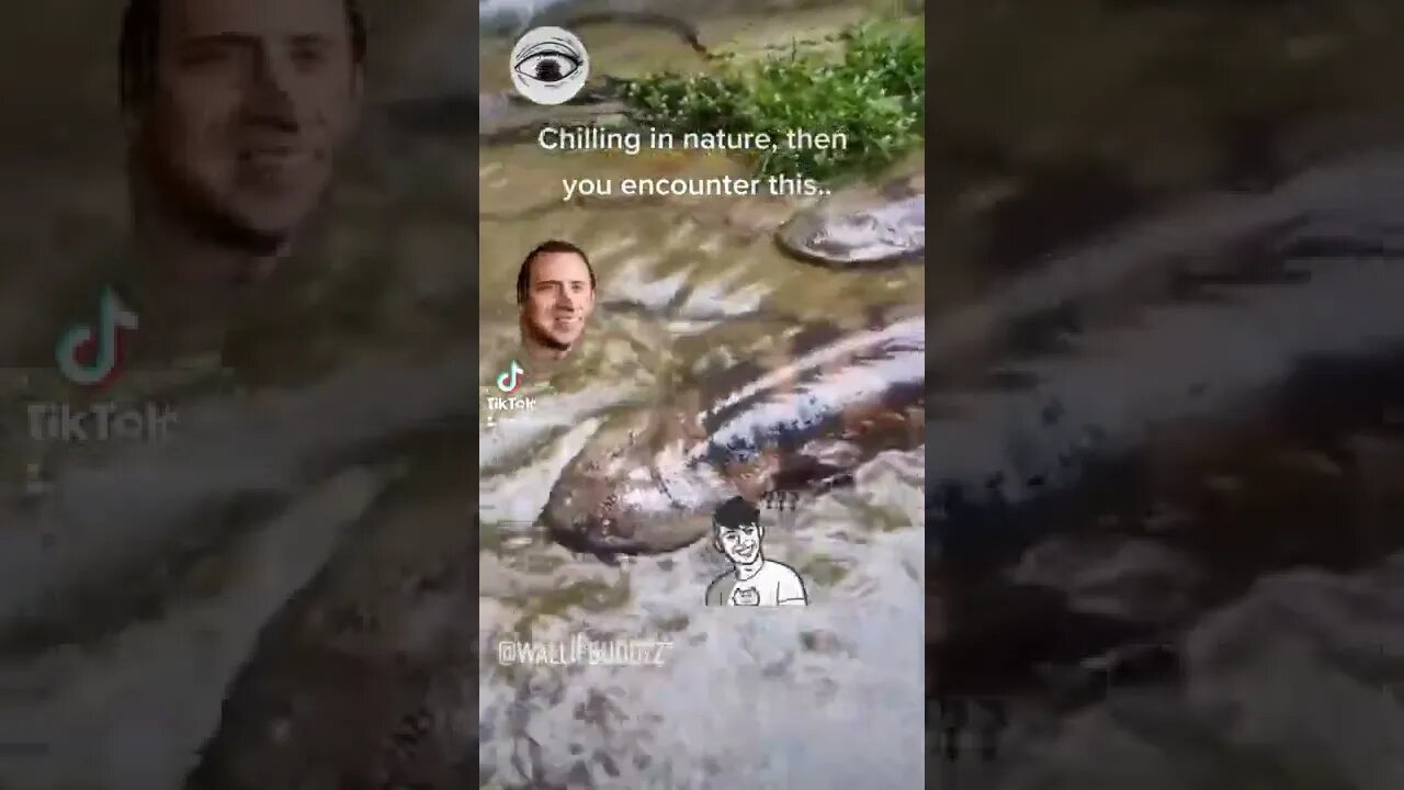 Chilling In nature, then you encounter this..