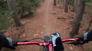 Days River Fatbiking ( Fatback Rhino )