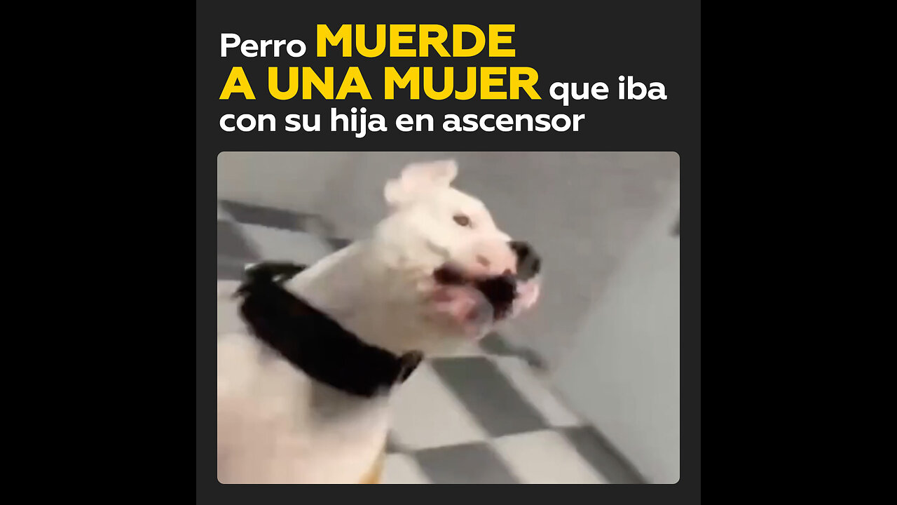 Un perro ataca a una mujer que iba con su pequeña hija en el ascensor de un edificio