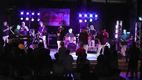 The Catalinas - LIVE - Let's Grove
