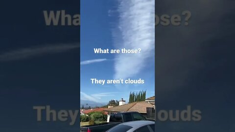What’s this in my sky? Los Angeles California