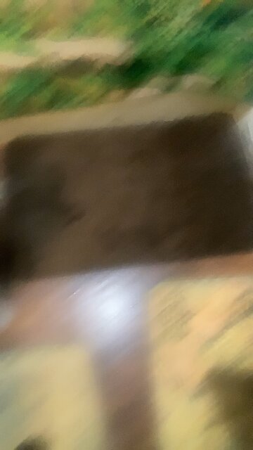 Technical difficulties