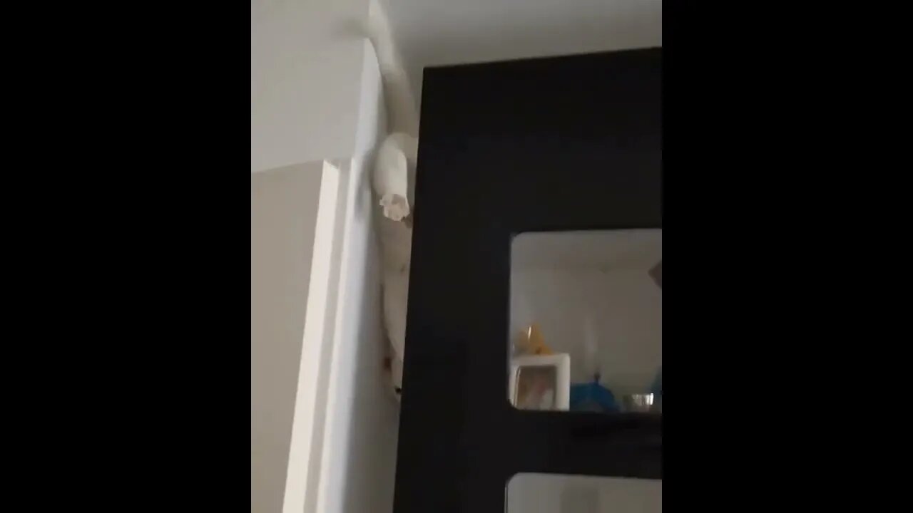 The easy way down