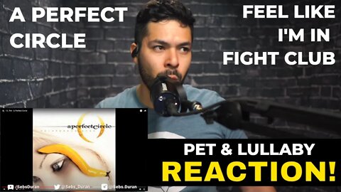 A Perfect Circle Pet and Lullaby (Reaction!)