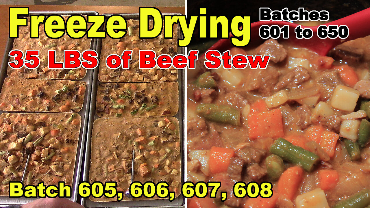 Freeze Drying 50 More Batches - 35 lbs of Beef Stew - Batches 605, 606, 607, 608