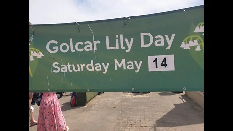 Golcar Lily Day