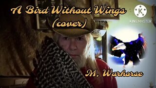 A Bird Without Wings (cover)