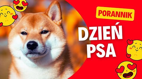 DZIEŃ PSA | Porannik [#1]