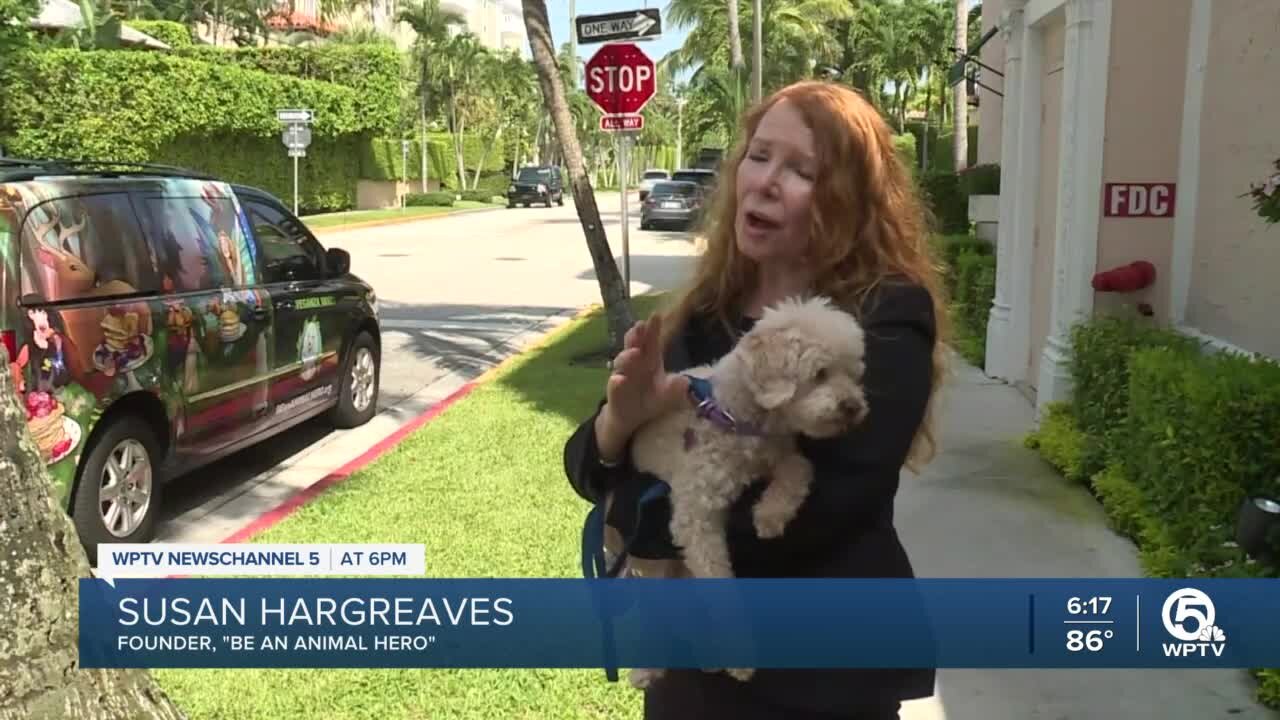 Palm Beach organization creates campaign to rescue animals, save planet