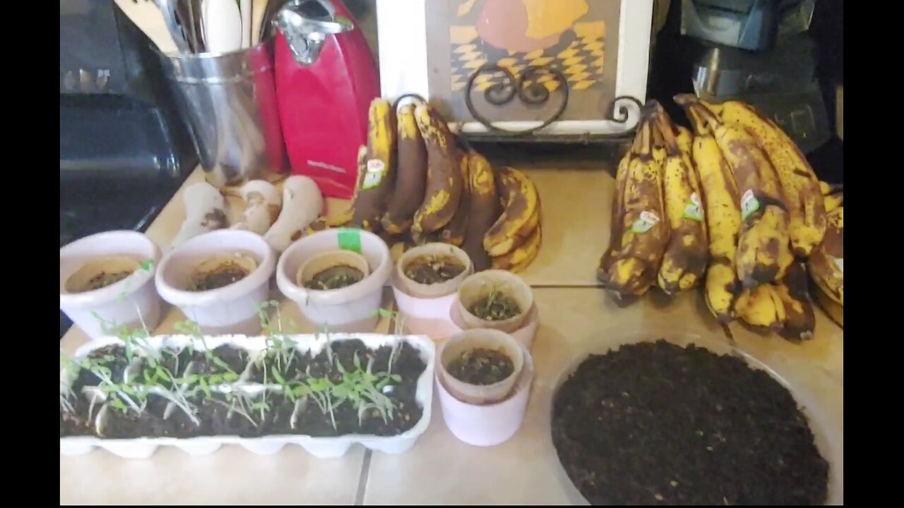 π I Like To Eat Eat Eat Frozen Bananas ππ + π«πΆππ
π±